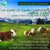 The Sound of Cowbells In the Alps: A Rustic Sound For Relaxation and Wellness album lyrics, reviews, download