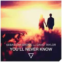 You'll Never Know (feat. David Taylor) [Sebastian Bronk & RetroVision Remix] Song Lyrics