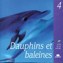 Baleines Song Lyrics