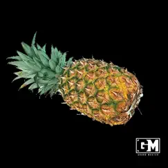 Pineapple Juice Song Lyrics