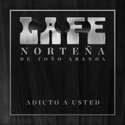 Adicto a Usted Song Lyrics