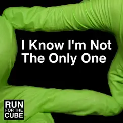 I Know I'm Not the Only One - Single by Runforthecube album reviews, ratings, credits