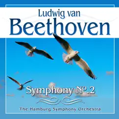 Symphony No.2 in D Major, Op.36: Larghetto Song Lyrics