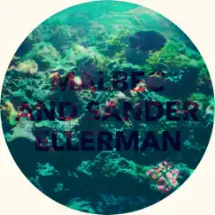 Malbec & Sander Ellerman - Single by Malbec & Sander Ellerman album reviews, ratings, credits