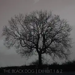 Exhibit 1 & 2 - EP by The Black Dog album reviews, ratings, credits