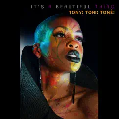 It's a Beautiful Thing - Single by Tony! Toni! Toné! album reviews, ratings, credits
