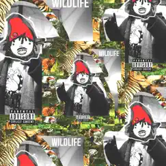 Wildlife - Single by Tyquan Sounds album reviews, ratings, credits