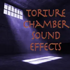 Torture Chamber Sound Effects by Sounds Visual album reviews, ratings, credits