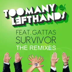 Survivor (Jay Adams Remix) [feat. Gattas] Song Lyrics