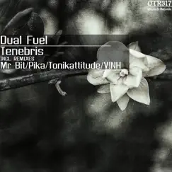 Tenebris by Dual Fuel album reviews, ratings, credits