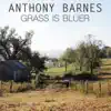 Grass Is Bluer - EP album lyrics, reviews, download