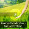 Guided Meditation for Relaxation album lyrics, reviews, download