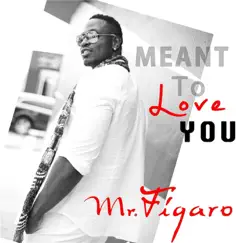 Meant to Love You - Single by Mr. Figaro album reviews, ratings, credits