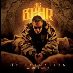 Hybearnation: Wildlife, Vol. 2 by Big Bear album reviews, ratings, credits