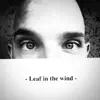 Leaf in the Wind - Single album lyrics, reviews, download