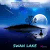 Tchaikovsky: Swan Lake (Ballet), Op. 20 album lyrics, reviews, download