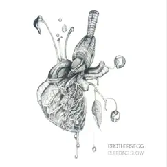 Bleeding Slow by Brothers Egg album reviews, ratings, credits
