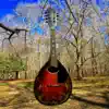 Lullaby for a High-Strung Mandolin - Single album lyrics, reviews, download