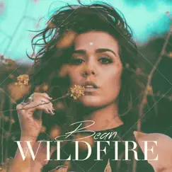 Wildfire - Single by Bean album reviews, ratings, credits