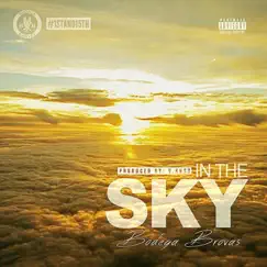 In the Sky - Single by The Bodega Brovas album reviews, ratings, credits