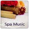 Spa Music for Massage Relaxation, Healing Meditation, Wellness Beauty, Yoga Practice, Deep Sleep and Well Being album lyrics, reviews, download