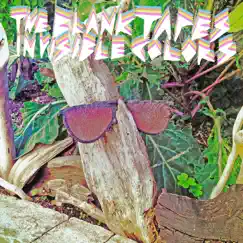 Invisible Colors by The Blank Tapes album reviews, ratings, credits