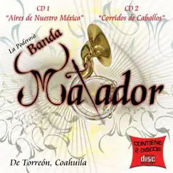 Flor de la malagueña Song Lyrics