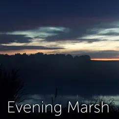 Evening Marsh Song Lyrics