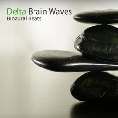 Delta Brain Waves by Binaural Beats & Battement Binaural album reviews, ratings, credits