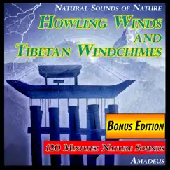 Howling Winds and Tibetan Windchimes: Natural Sounds of Nature: Bonus Edition by Amadeus album reviews, ratings, credits