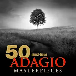 Violin Concerto No. 1 in D Major, Op. 6: II. Adagio Espressivo Song Lyrics