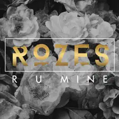R U Mine - Single by ROZES album reviews, ratings, credits