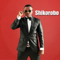 Shikorobo - Single by Shetta album reviews, ratings, credits