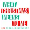 What Christmas Means to Me - Single album lyrics, reviews, download