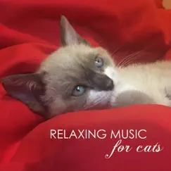 Relaxing Music for Cats Song Lyrics