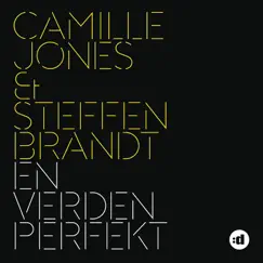 En Verden Perfekt (Camille Jones & Steffen Brandt) Song Lyrics