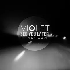 See You Later (feat. Van Ward) Song Lyrics