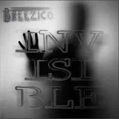 Invisible - Single by Breezico album reviews, ratings, credits