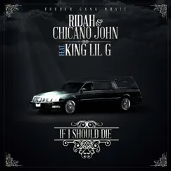 If I Should Die (feat. King Lil G) Song Lyrics