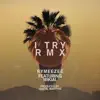 I TRY (feat. Mikial) [Remix] - Single album lyrics, reviews, download