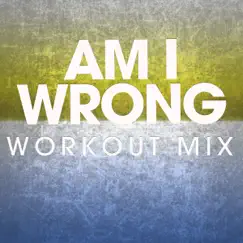 Am I Wrong (UK State Remix Radio Edit) Song Lyrics