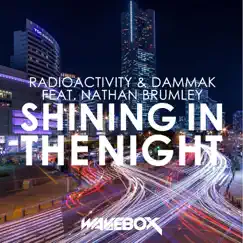 Shining in the Night (feat. Nathan Brumley) - Single by Radioactivity & DAMMAK album reviews, ratings, credits