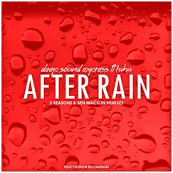 After Rain (5 Reasons Remix) [feat. Raha] Song Lyrics