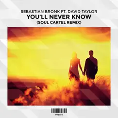 You'll Never Know (feat. David Taylor) [Soul Cartel Remix] Song Lyrics