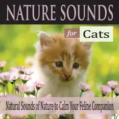 Nature Sounds for Cats: Natural Sounds of Nature to Calm Your Feline Companion by Robbins Island Music Group album reviews, ratings, credits
