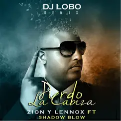 Pierdo la Cabeza (DJ Lobo Remix) [feat. Shadow Blow] Song Lyrics