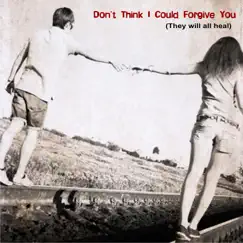 Don't Think I Will Forgive You (Radio Edit) Song Lyrics
