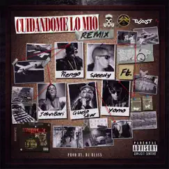 Cuidandome Lo Mio (Remix) [feat. Guelo Star, Speedy, Yomo & John Bori] - Single by Nengo album reviews, ratings, credits