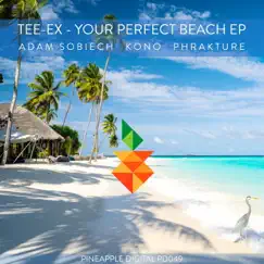 Your Perfect Beach (Kono (USA) Remix) Song Lyrics