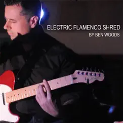 Electric Flamenco Shred Song Lyrics